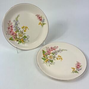 Alfred Meakin Spring Blossoms Floral Dinner Plates Set x2 8.75" 1945 England